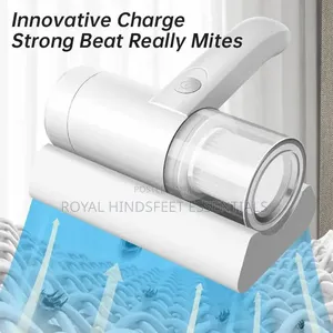 Usb Rechargeable Dust Mite Remover
