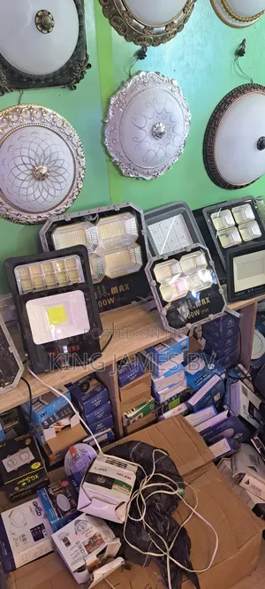 Electric Flood Light