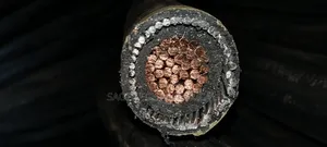 300mm Single Armored Cable