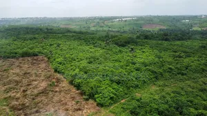 Acres of Land at Alabata Village Abeokuta