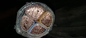 300mm 4core Armored Cable Pure Copper