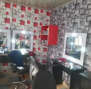 Salon Mirror