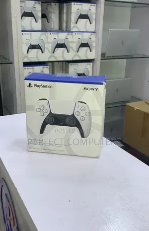 Playstation 5 Pad