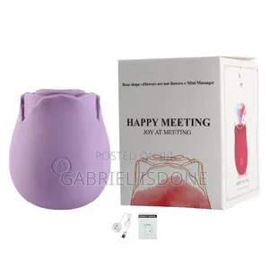 Rose G-Spot Vibrator for Women Vibrating Sucking Sex Toy