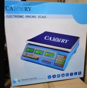 40kg Camry Scale