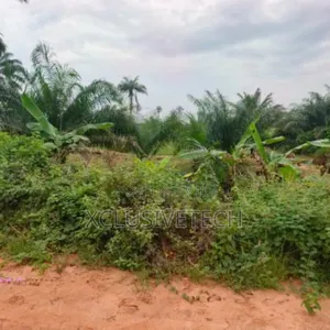 20 Acres of Farmland for Sale