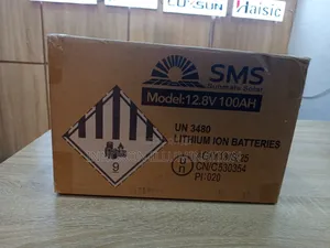 100a 12v SMS Lithium Ion Battery