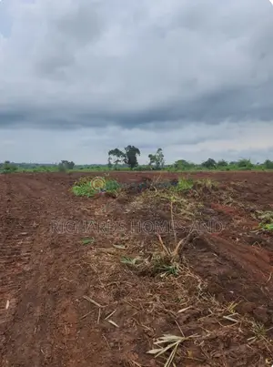 One Acre of Farmland for Sale in Ogun State