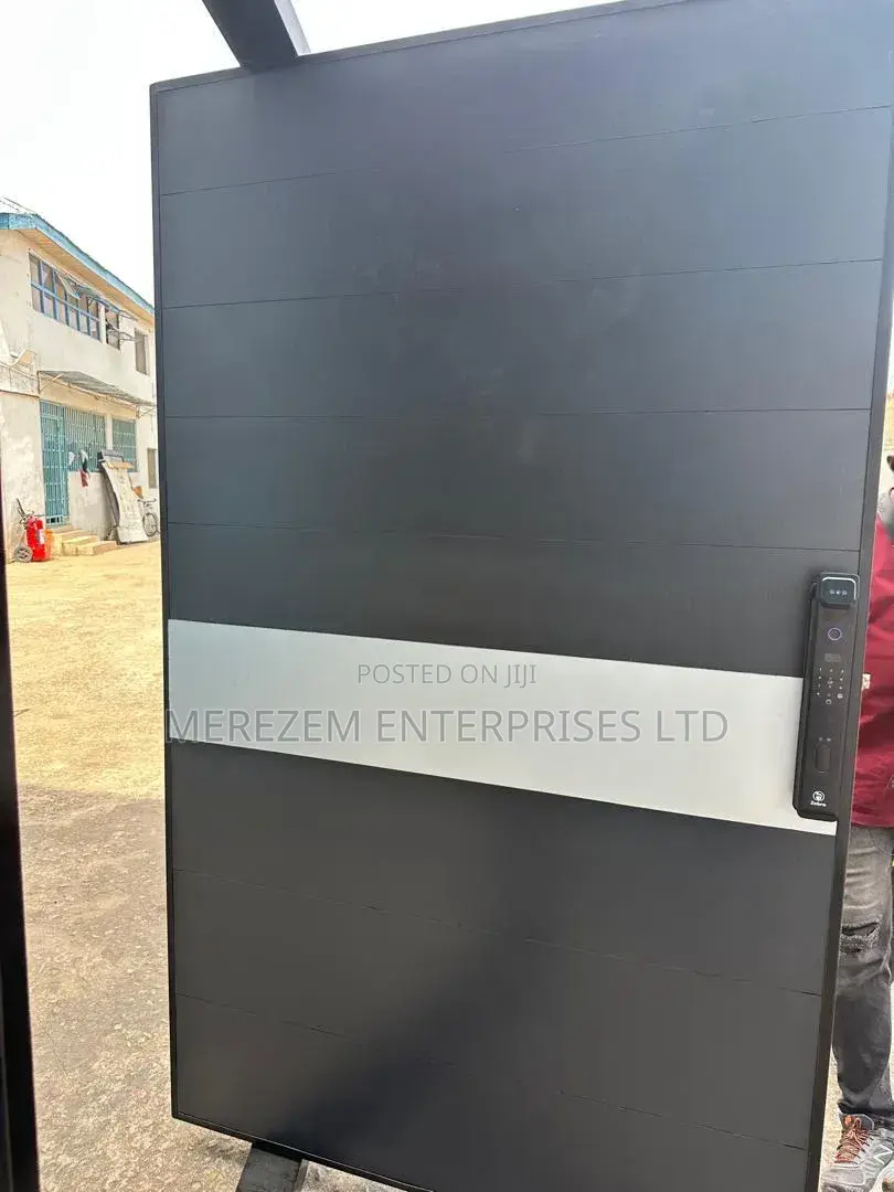Black Pivot Door