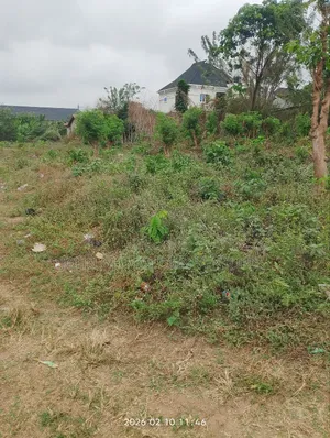 Plots of Land at Life Forte Apete