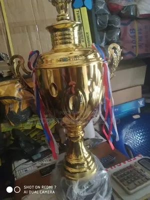 ​Giant Premium Gold Championship Trophy Cup With Lid Ribbons