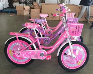 Size 20 Bicycle Pink And Purple For Your Girl Child