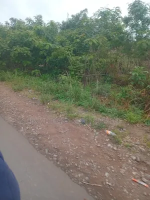 500 Acres of Farmland for Sale at Per Acre, at Onigbogbo