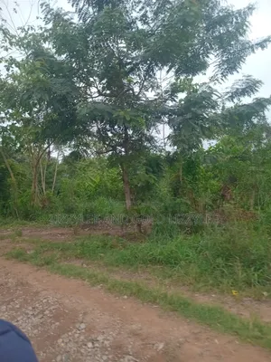 Farmland for Sale Located at Ayetoro Yewa North Lg, at Per Acre