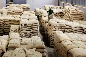 Arabic Coffee Powder