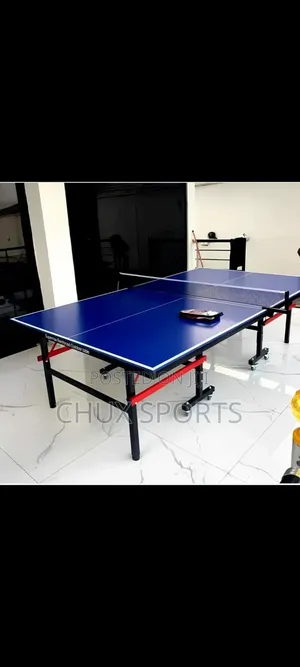 Standard Outdoor Table Tennis