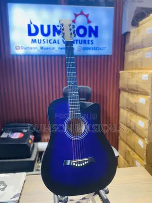 Classic Audio Acoustic Guitar Purple Colour