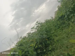 A Plot of Land Measuring 50by100 for Sell