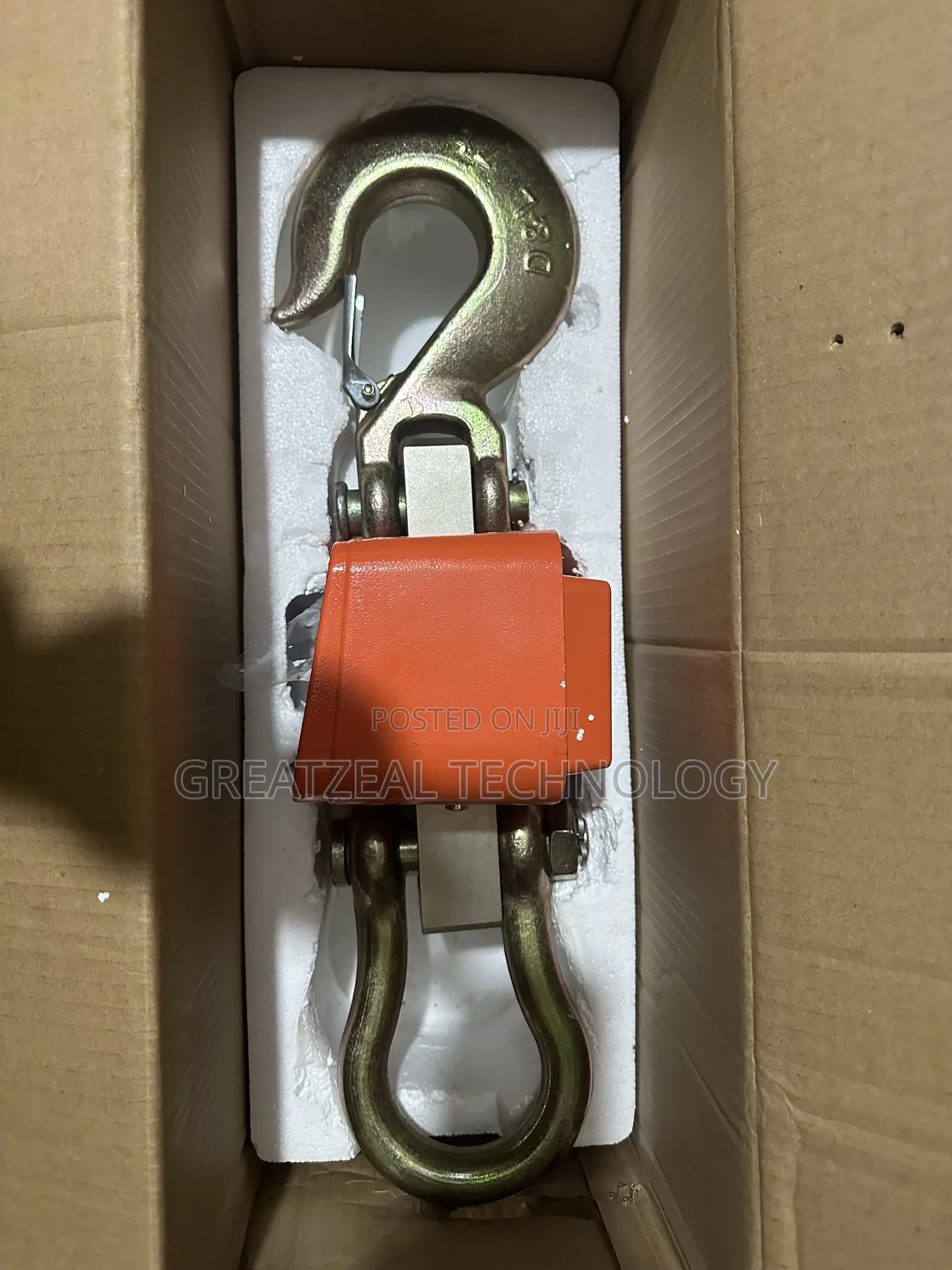 Electric Crane Scale