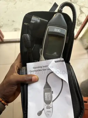 Combusting Gas Detector
