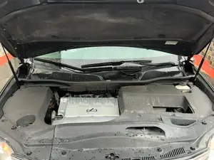 Lexus RX 350 2010 Gray