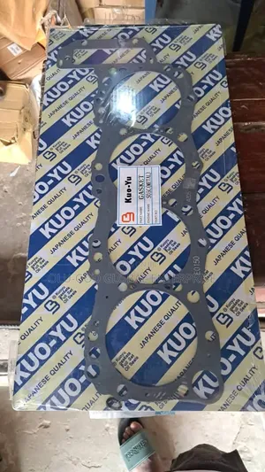 Top Gasket Sany or Hino