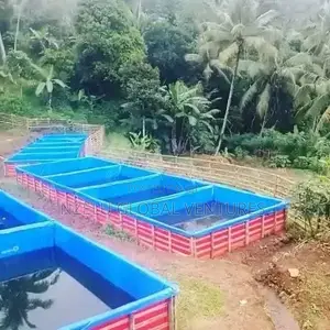 Professional Pond Installation Experts