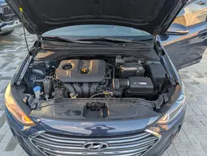 Hyundai Elantra Sport Sedan FWD (1.6L 4cyl 6M) 2017 Blue