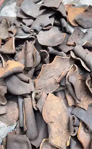 Ponmo Ijebu