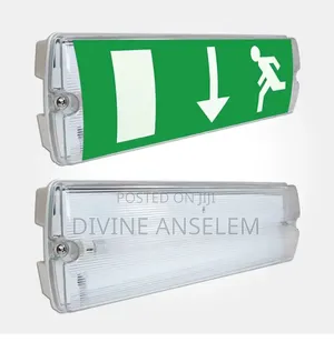 Emergency Led Light