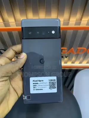 Google Pixel 6 Pro 128 GB Gray