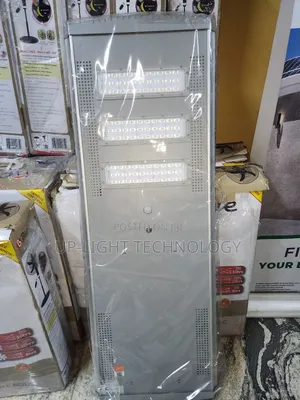 60w P2 Felicity Light