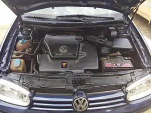 Volkswagen Golf 1999 Blue