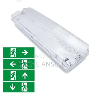 Emergency Led Light