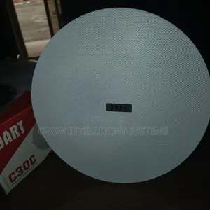 Dart Ceiling C30c Speaker