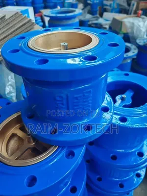 Flange Straight Check Valve Brass Tongue