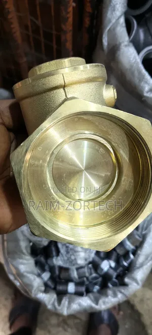 Brass Threaded Iron Tongue Non Return Valve