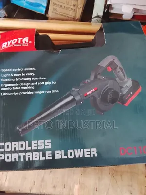 Cordless Portable Blower