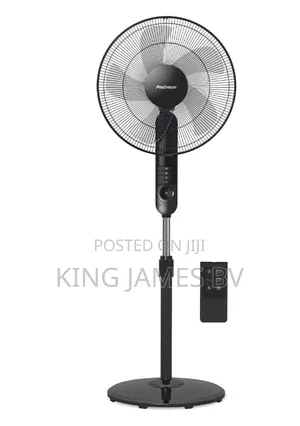 Megan Stand Fans