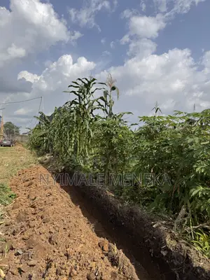 Buy and Build One Plot of Land