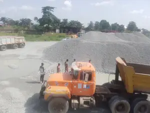 China Oriental Mining