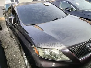 Lexus RX 2010 Gray