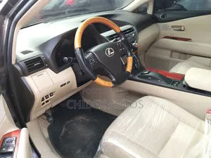 Lexus RX 2010 Gray