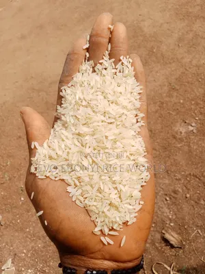Abakaliki Rice