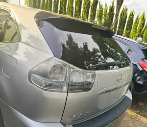Lexus RX 350 2007 Silver