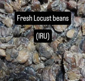 God Choice Locus Beans