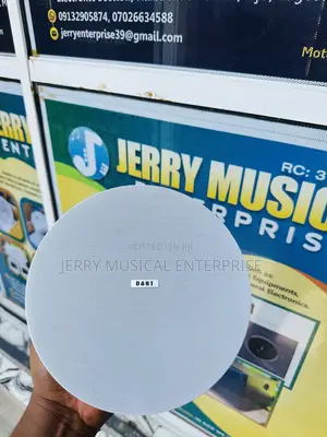 Dart 30w Stand Alone Ceiling Speakers With Woofer