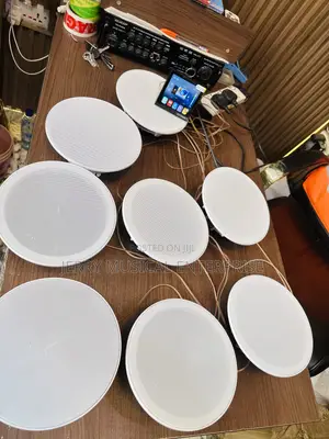 High Quality Ceiling Speakers With Smart Wall Amplifier 8n1