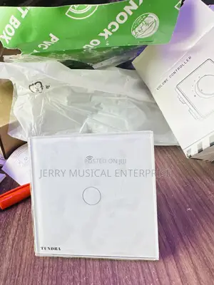1gang Smart Switches for Lights and Voice Recognition