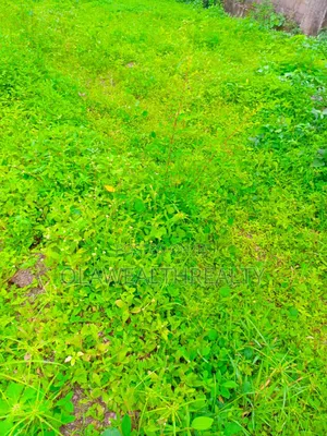 3,000sqm Residential Land at Asokoro Extension